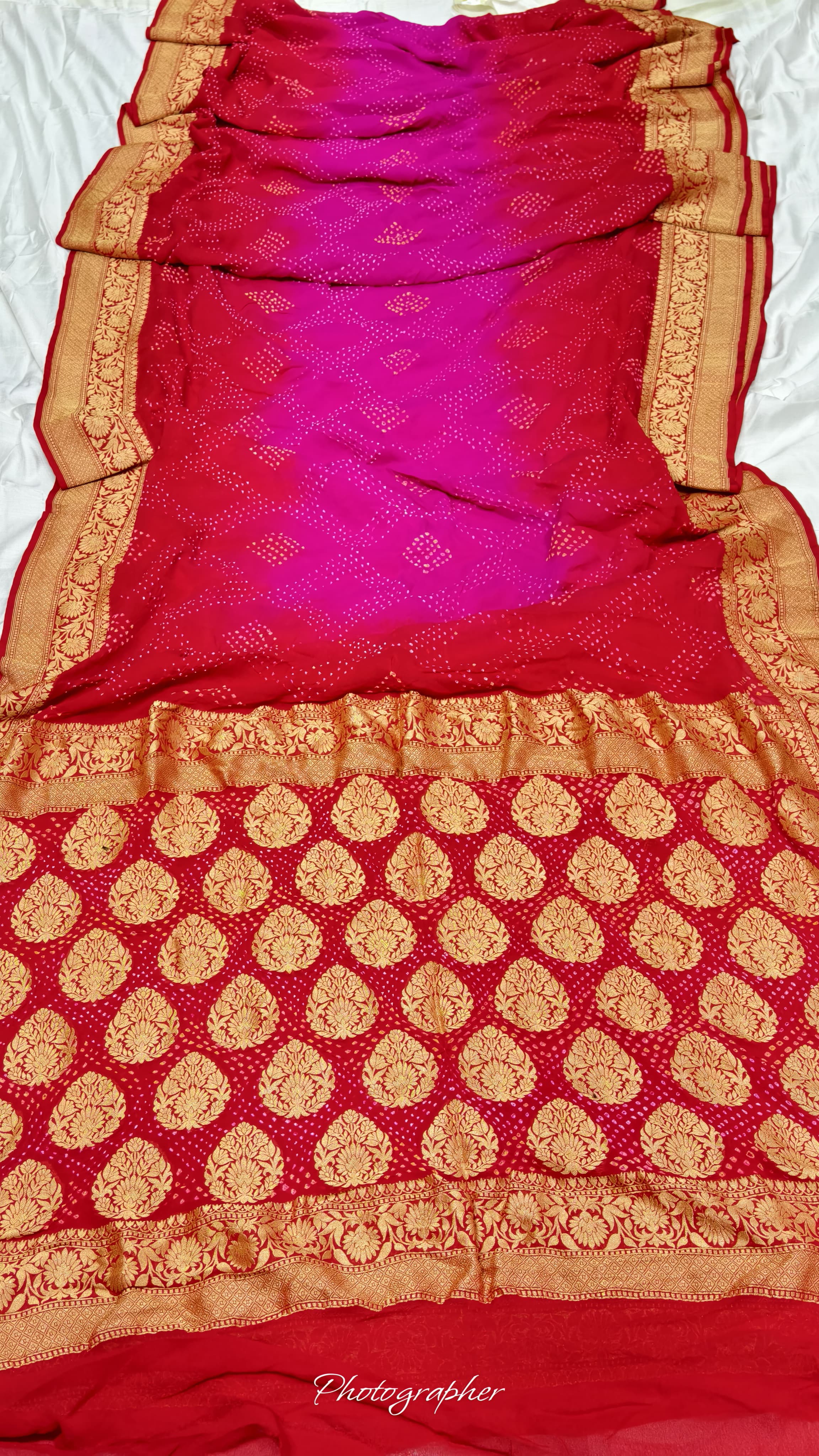 Pure Banarasi Original Georgette Fabric with Pure Hand Rai Bandej Saree